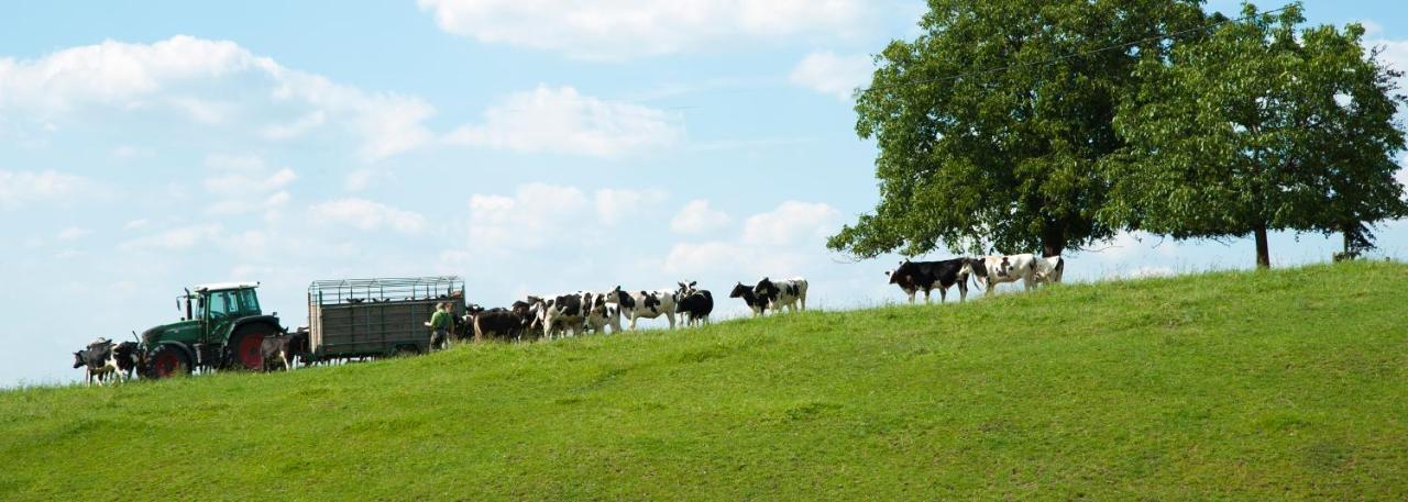 Landhotel Napoleon Wipperfürth Zewnętrze zdjęcie
